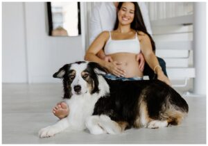 Dog sits near parents for Austin Motherhood Photographer