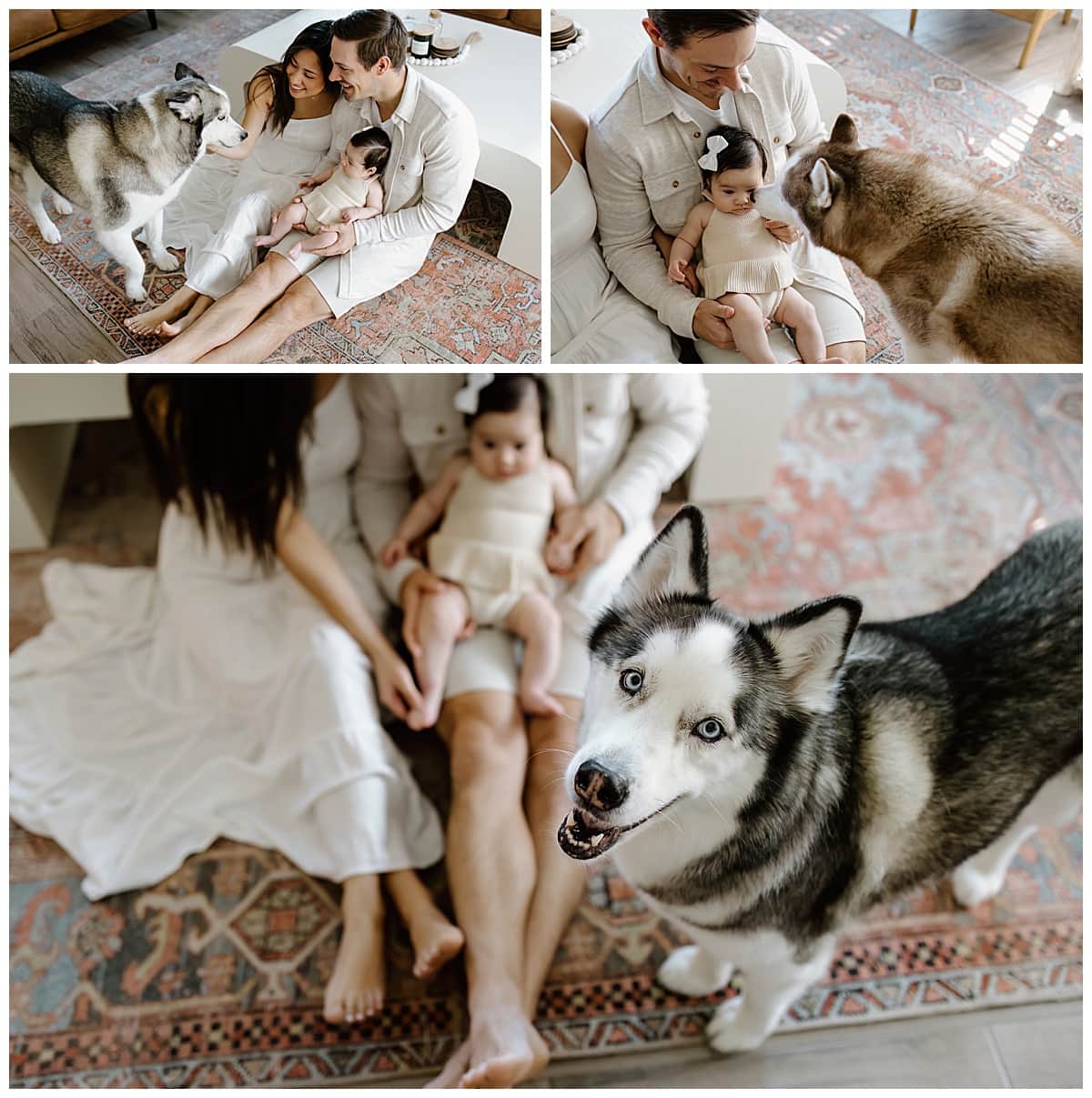 Dogs join the family for cuddle on the floor for Our Adventuring Souls Photography